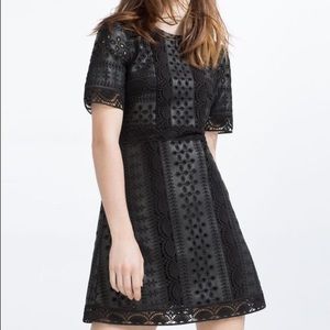 Zara Faux Leather Eyelet Embroidered Dress